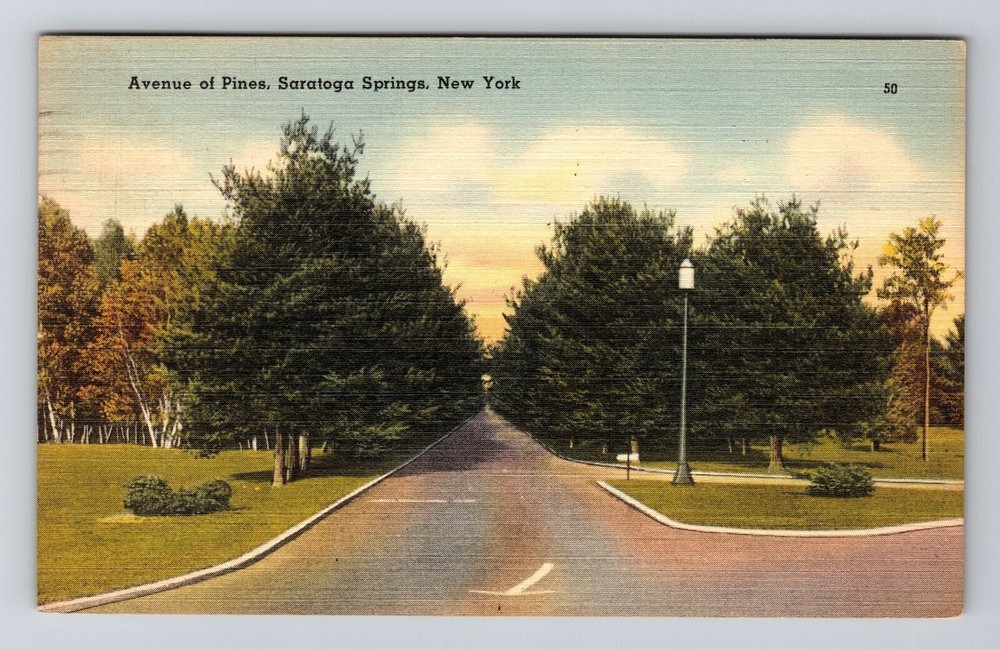 Saratoga Springs NY-New York, Ave Pines, Vintage Postcard