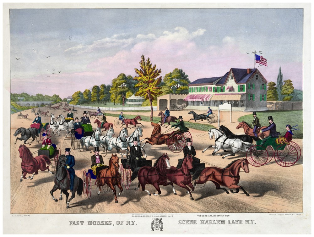 Decor Poster. Graphic Art. Fast horses of New York. Home Wall Design. 1209