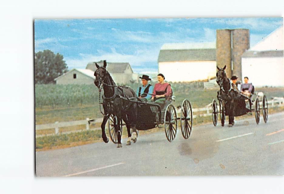 Postcard Vintage Amish Country Courting Buggies Lancaster PA Marshall Dussinger