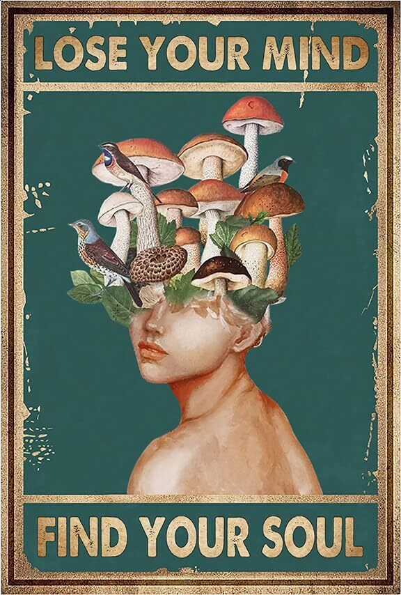 Smilelife Vintage Mushroom Tin Sign Room Decor for Bird