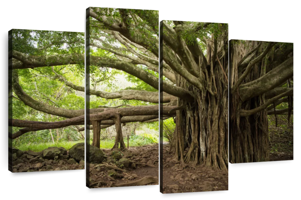 Banyan Tree Wall Art