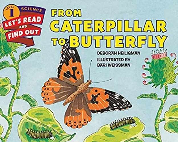 From Caterpillar to Butterfly - Paperback, by Heiligman Deborah - Very Good