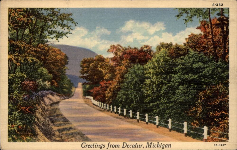 Michigan Decatur Greetings from road woods autumn ~ 1930s linen postcard ~ s0053