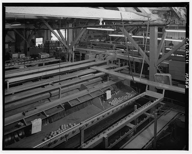 National Orange Company Packing House,3604 Commerce Street,Riverside,CA,HABS,15