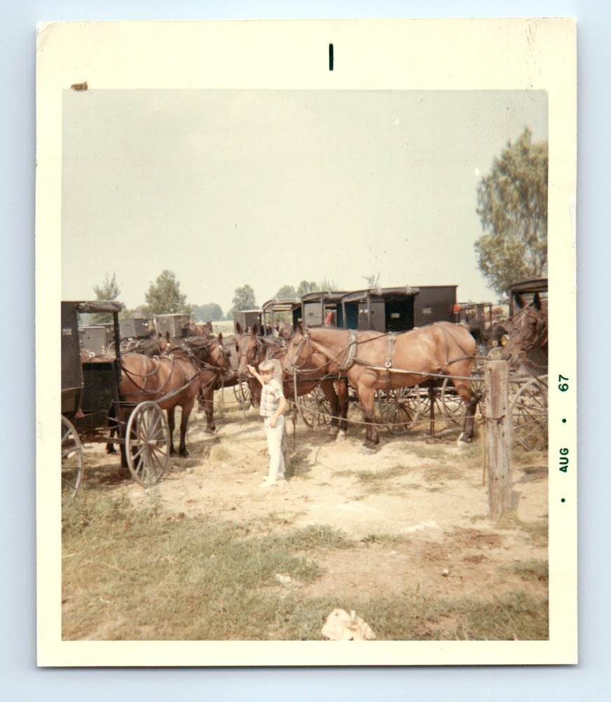 Old Vintage Square Color Photo SOLO BOY HORSE DRAWN CARRIAGE IN FIELD 1967