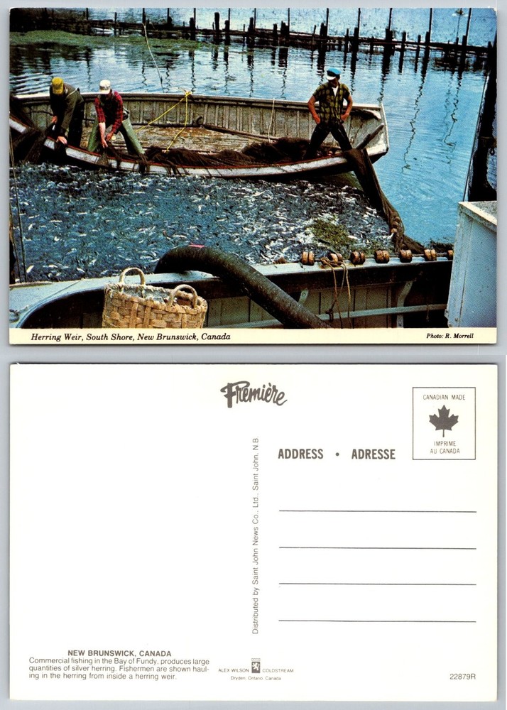 Herring Weir South Shore New Brunswick Canada Fishing Boat Postcard