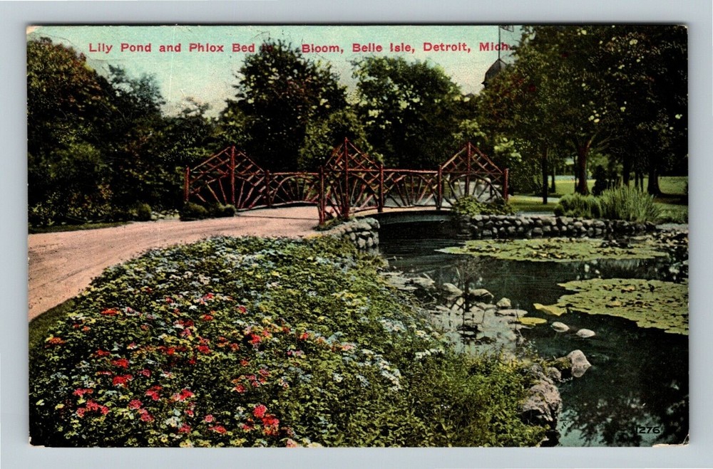 Detroit MI-Michigan, LILY POND AND PHLOX BED, Scenic View, Vintage Postcard