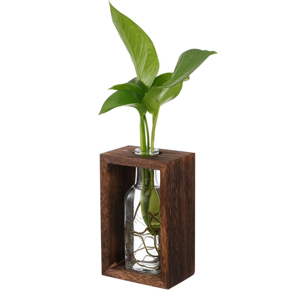Mini Glass Terrarium Planter for Office Desk Decor and Plants