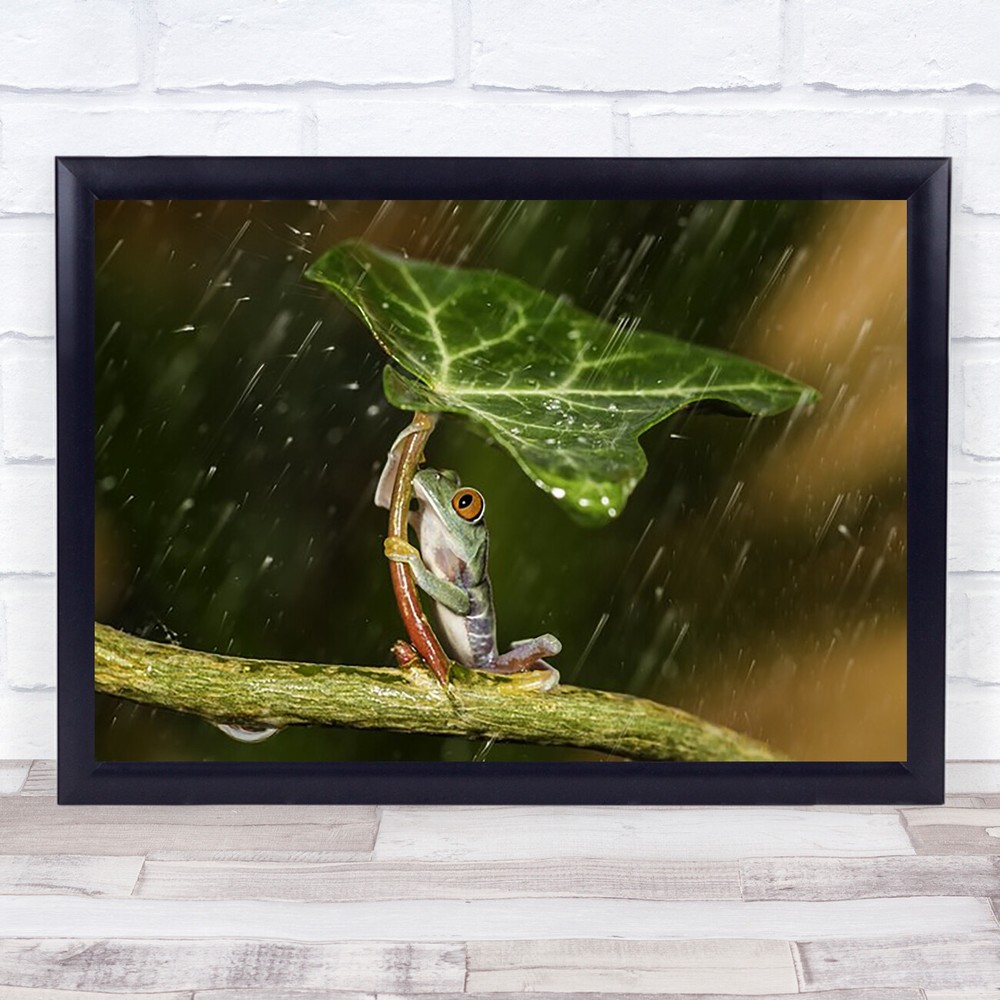 Colorful Rainy Day Frog Umbrella Wall Art Print