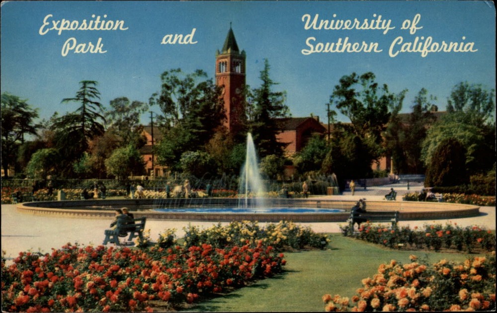 Los Angeles California UCLA Campus rose garden Exposition Park vintage postcard