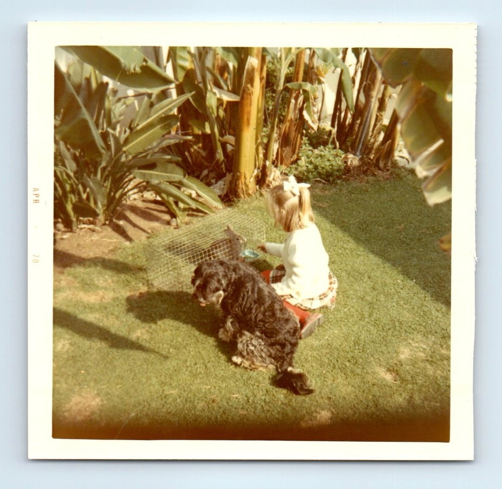 Old Vintage Square Color Photo DOG SOLO GIRL FEEDING BUNNY RABBIT REAR VIEW