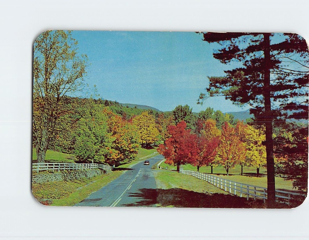 Postcard Country Road Autumn Nature Scene