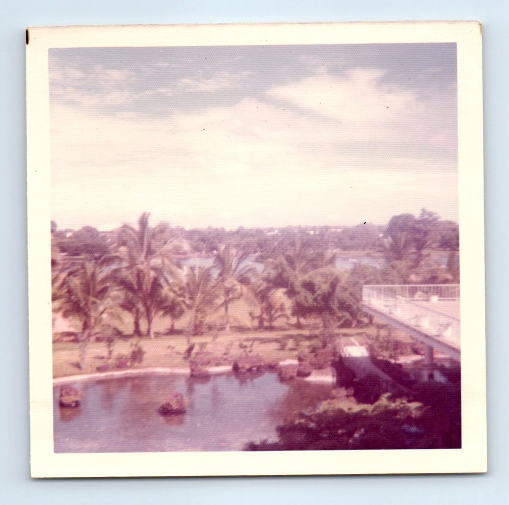 Old Vintage Square Color Photo HOTEL DECK POOL PALM TREES LANDSCAPE HAWAII