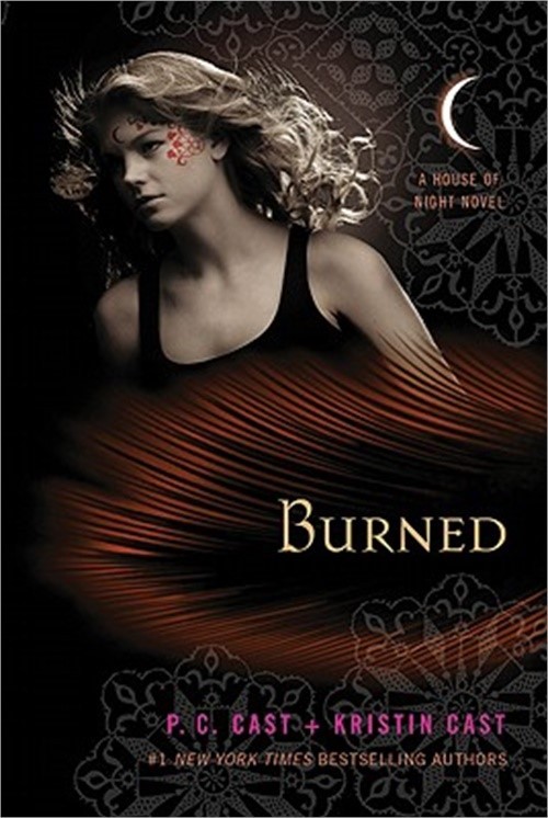 Burned (Paperback or Softback)