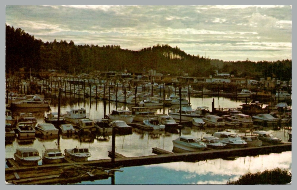 Sunset Ilwaco Port Basin Washington Moored  Boats Chrome Postcard