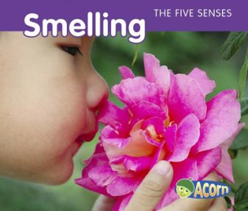 Smelling Paperback Rebecca RissmanFree US Delivery | ISBN:1432936875