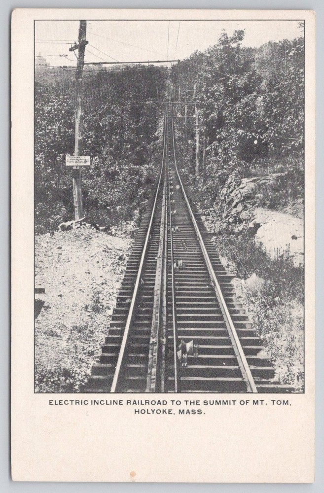 Mt Tom Holyoke MA Electric Incline Railroad Photo Print Postcard c1910s