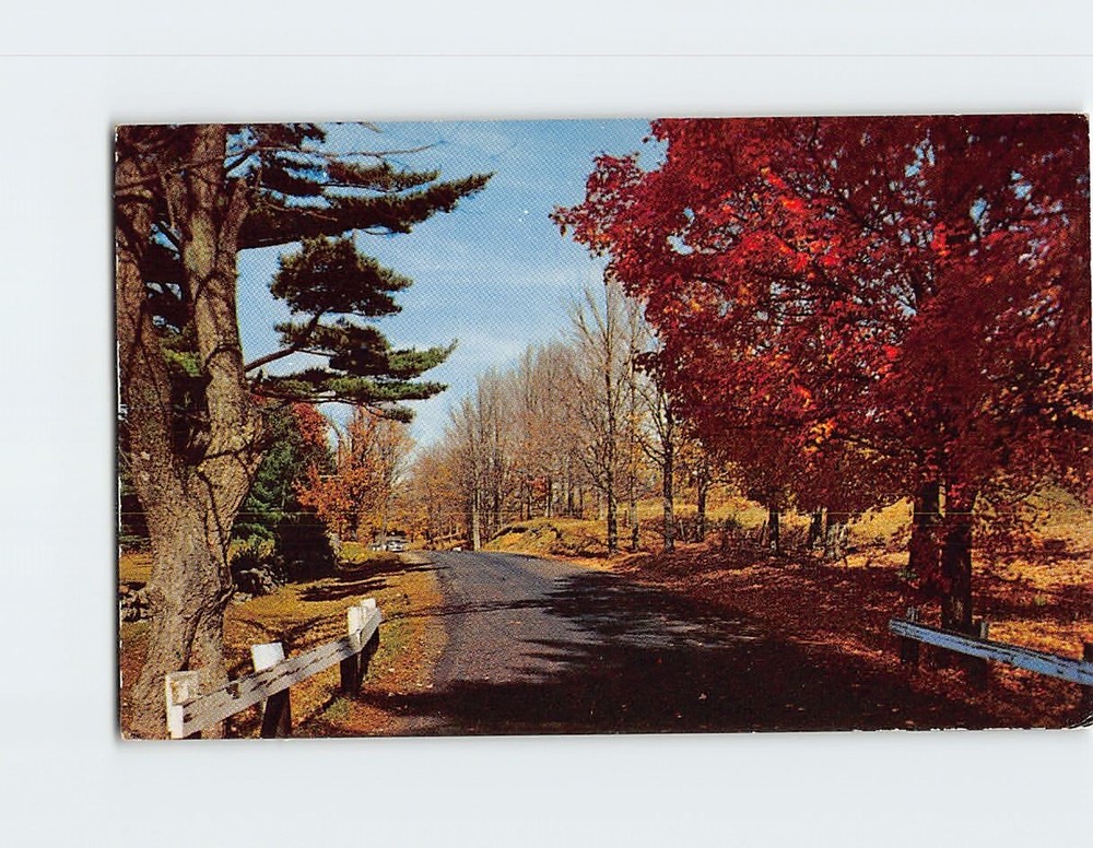 Postcard Magnificent Autumn! Greetings from Mattawa Canada