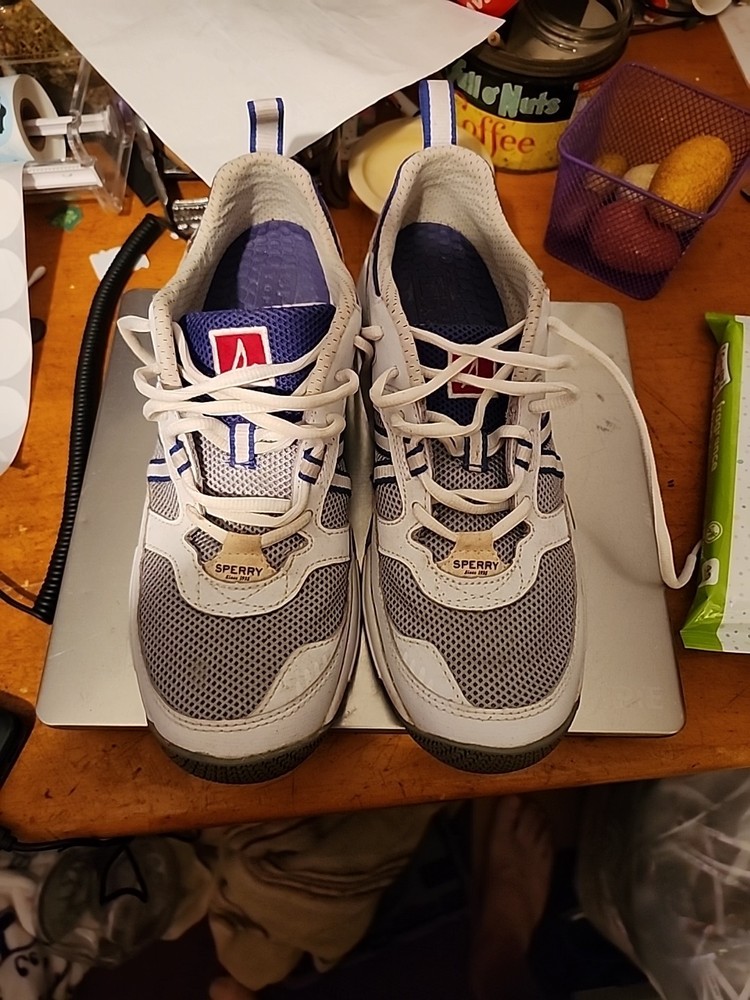 sperry mens shoes