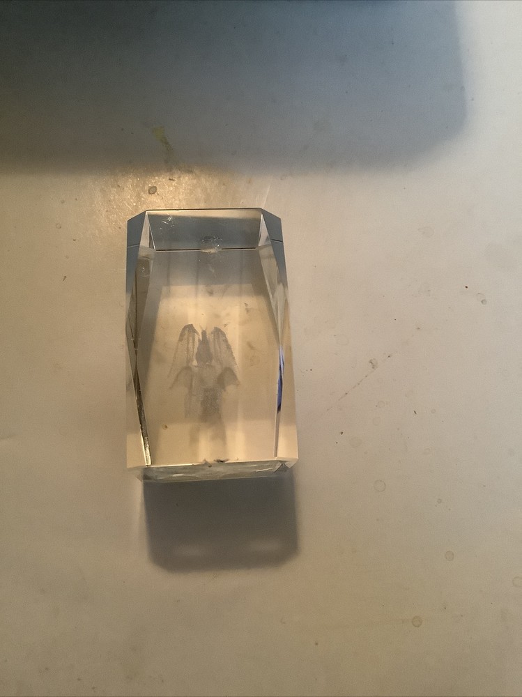 3D Laser Etched Crystal Cube Dragon Prehistoric Birds Dinosaur Paperweight