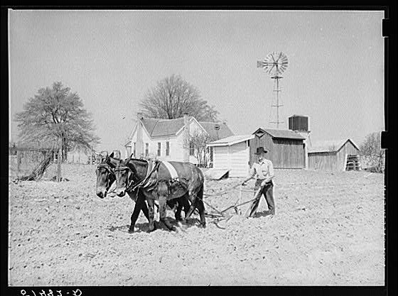 Coffee County Alabama 1939 Mr Watkins Plowing Farm Security Administration