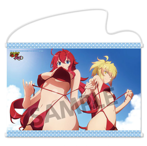 High School DxD HERO Rias & Kokonoe B2 Tapestry Hobby Stock 2018 japan anime