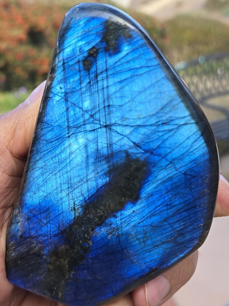 Labradorite Deep Blue Flash Polished Natural Freeform Large (80-110 mm)