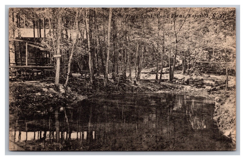 Napanoch NY New York Trout Pool at Jenny Brook Yama Farms Divided Back Postcard