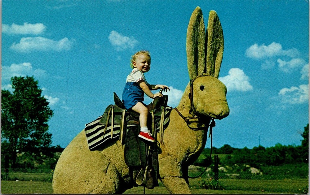 Dr Jim Stamps Postcard Child Riding Saddled Texas Jackrabbit Sculpture