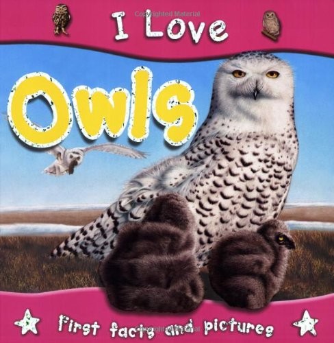 I Love Owls by Parker, Steve Paperback Book The Fast Free ShippingFREE US DELIVERY | ISBN: 1842368230 | Quality Books