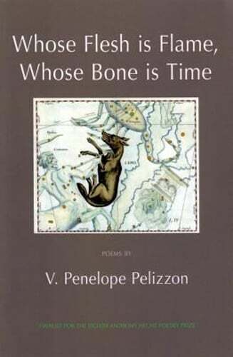 Whose Flesh Is Flame, Whose Bone Is Time by V Penelope Pelizzon: New