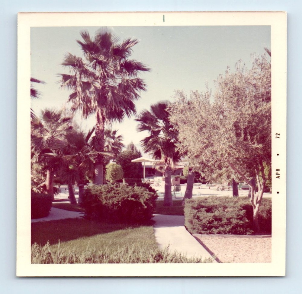 Old Vintage Square Color Photo EXTERIOR YARD POOL PALM TREES SNAPSHOT 1972