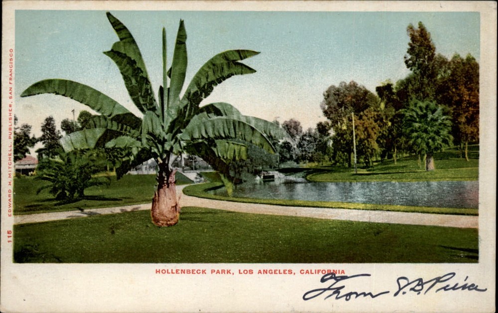 Hollenbeck Park ~ Los Angeles California ~ c1905 UDB Edward Mitchell postcard