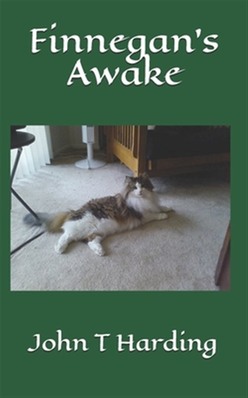 Finnegan's Awake by Harding, John T., Like New Used, Free shipping in the US