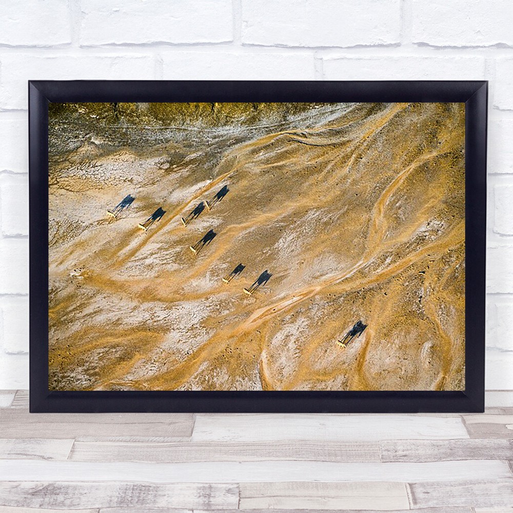 Kenya Africa Aerial Lake Zebra Animal Wildlife Nature Shadow Art Print
