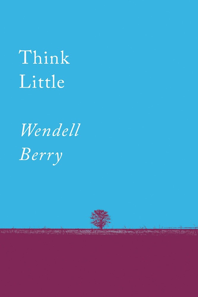 Think Little: Essays (Counterpoints) by Berry
