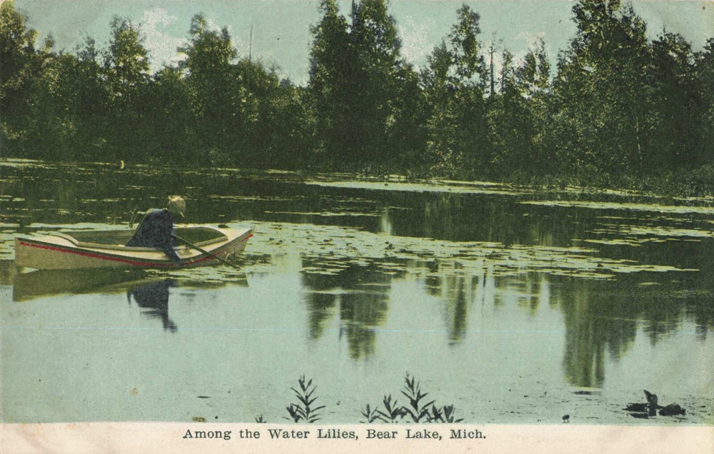 Among the Water Lilies Bear Lake Michigan MI Boat c1910 Postcard
