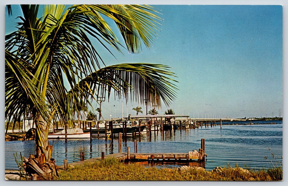 Postcard The Yacht Basin On The Peace River, Punta Gorda, Florida Unposted