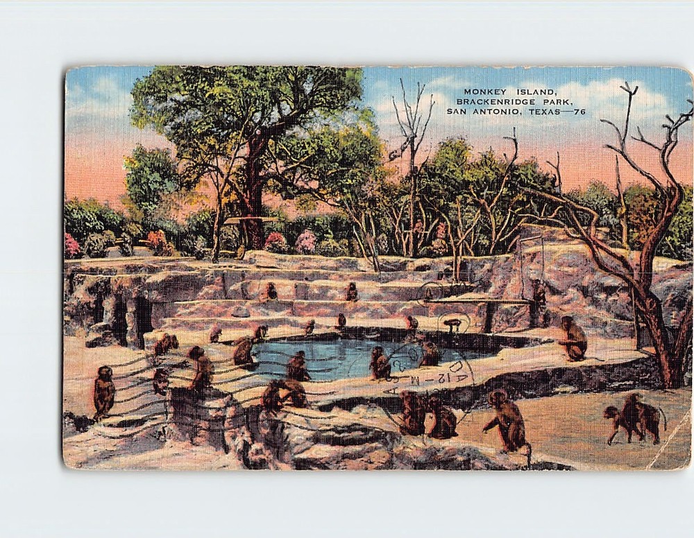 Postcard Monkey Island Brackenridge Park San Antonio Texas USA