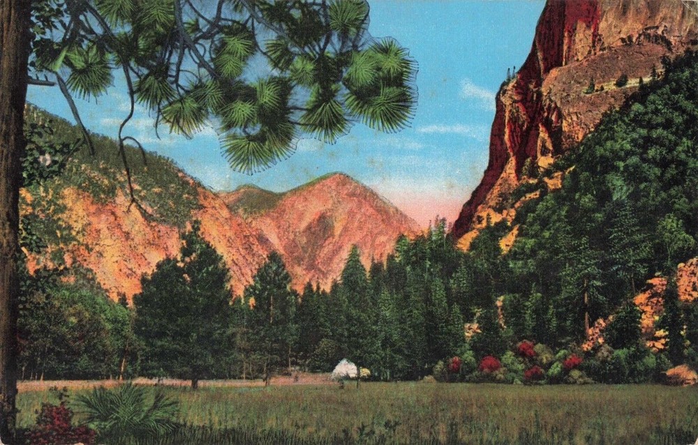 Kings Canyon National Park California, Zumwalt Meadow, Vintage Postcard