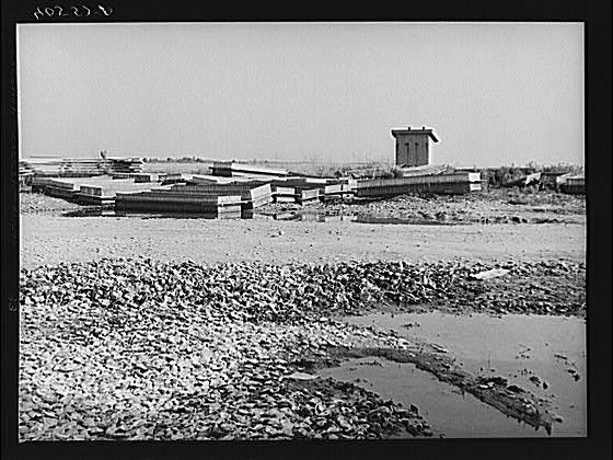 Deal Island,Somerset Island,MD,Maryland,Farm Security Administration,FSA,1940
