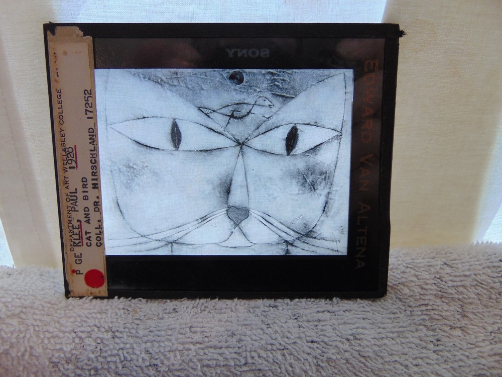 magic lantern slide paul klee cat & bird modern art 1928