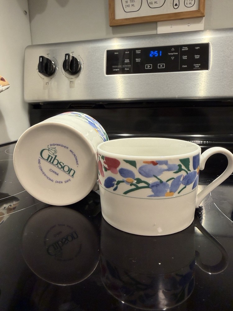 Gibson China Floral Coffee Mugs Set of 2 Dishwasher Microwave Oven Safe