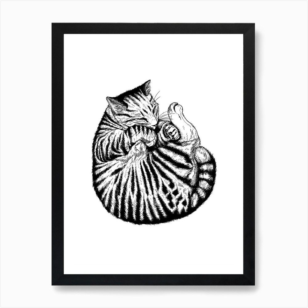 Sleeping Cat Drawing Art Print Framed Wall Art Poster Canvas Print Picture