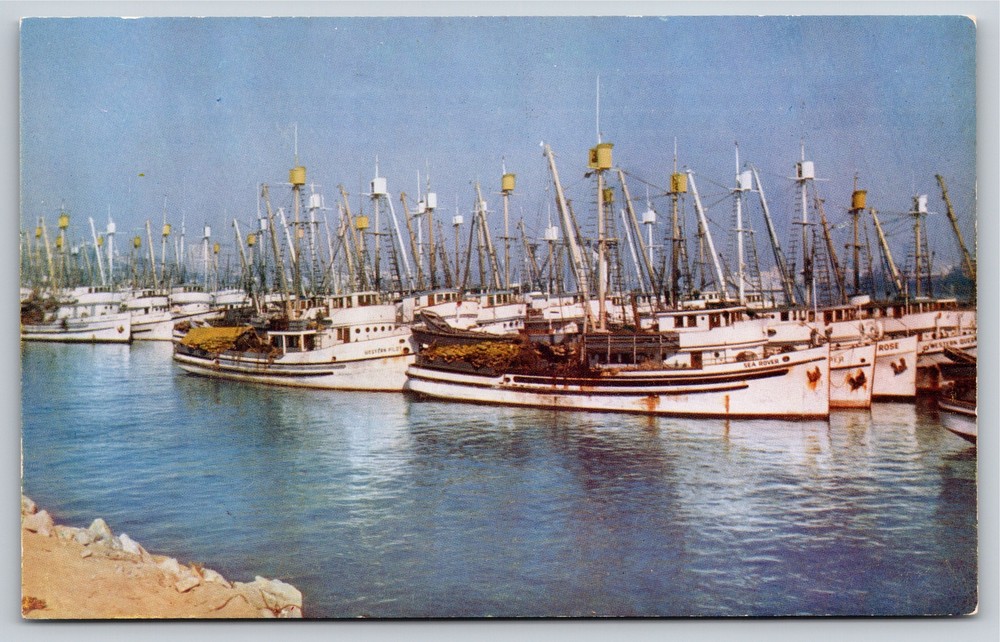 Los Angeles California~Fishing Fleet In San Pedro Harbor~Vintage Postcard