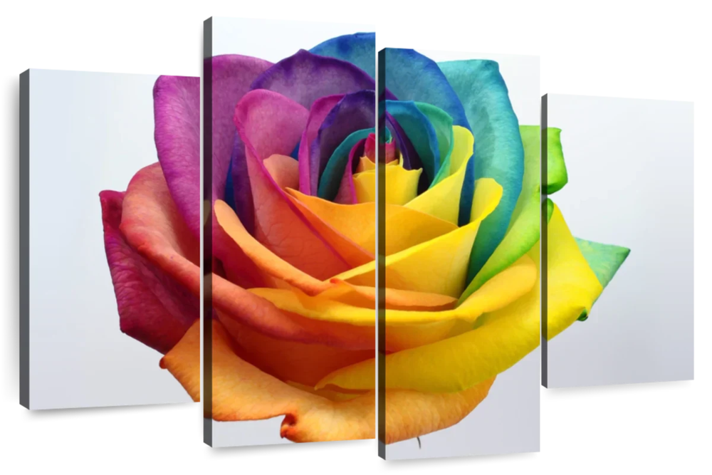 Rainbow Rose Wall Art
