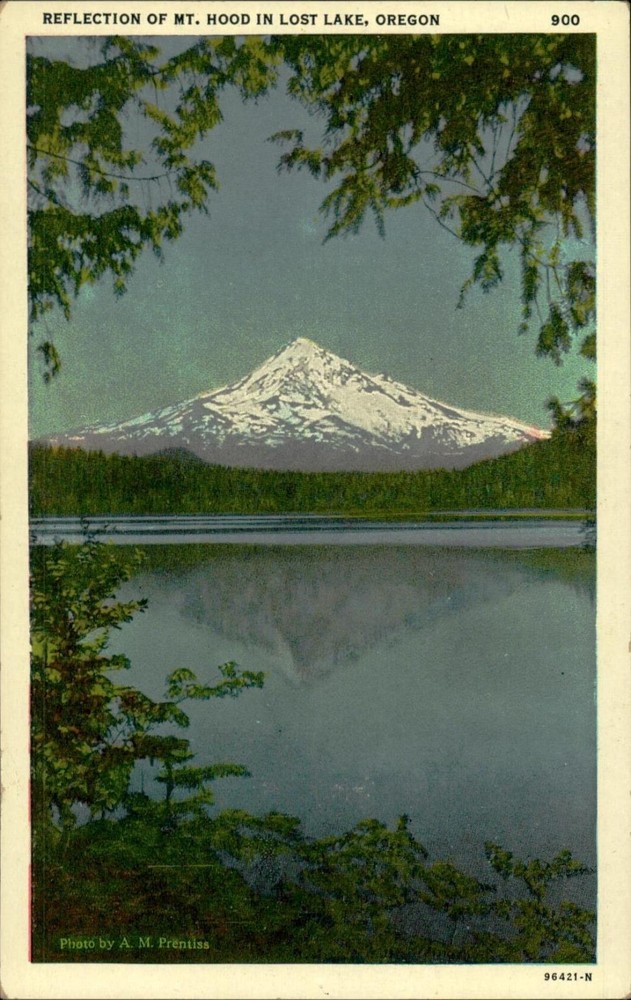 Linen Postcard Reflection of Mt. Hood in Lost Lake Oregon Scenic View