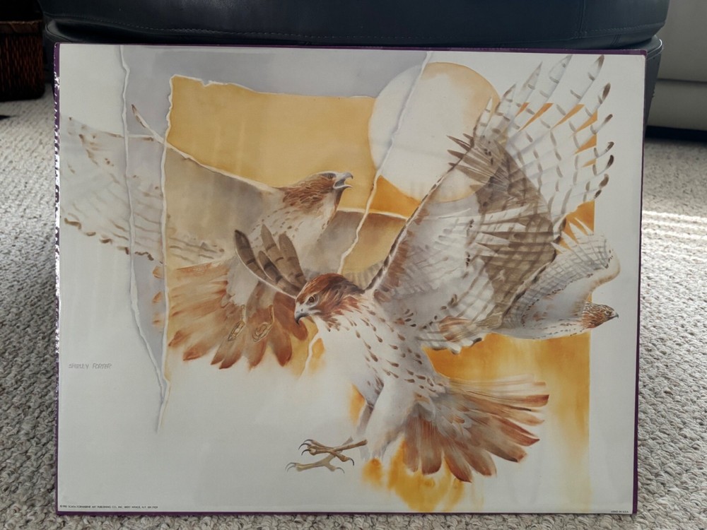 Vintage 16x20 Ready to Hang or Frame Print New Shirley Porter Eagles