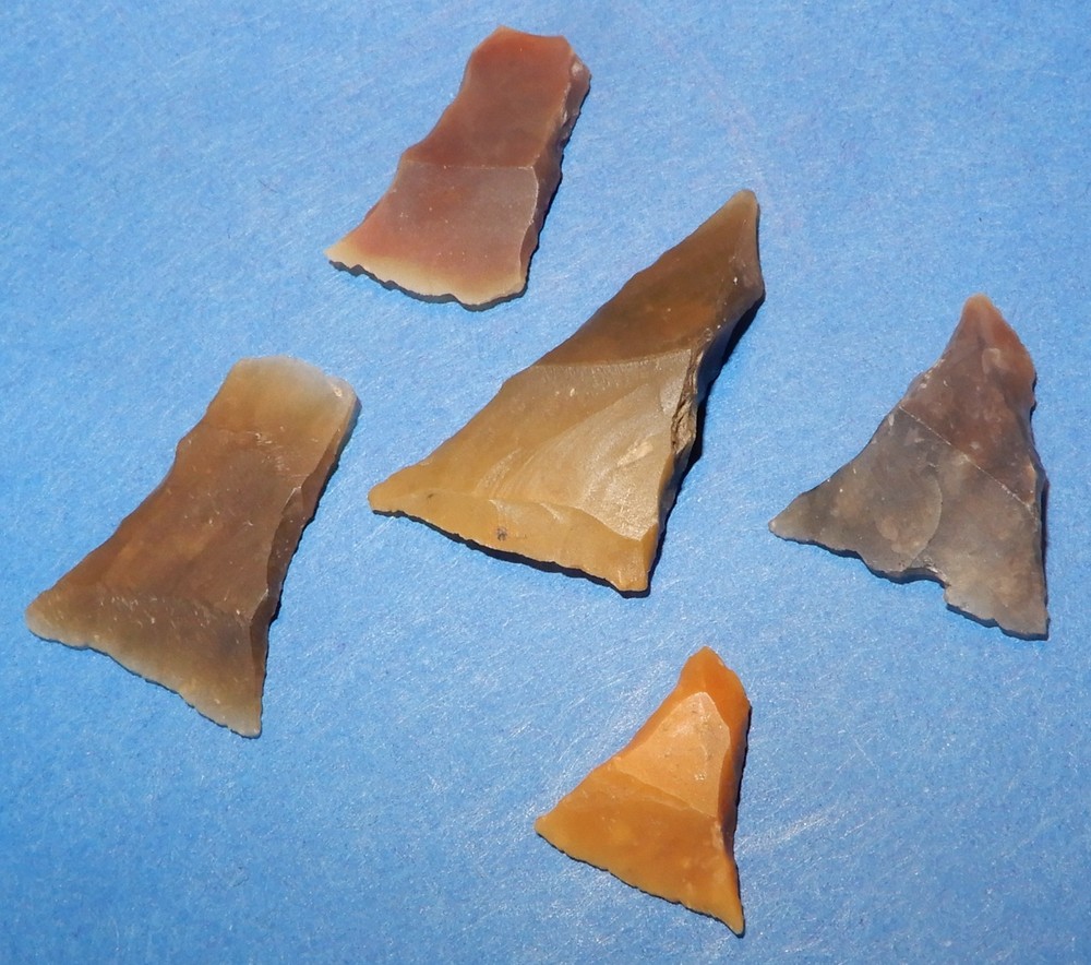 5 ARROW POINT's Transverse edge,  Arrow-Points. DANISH MESOLITHIC STONEAGE
