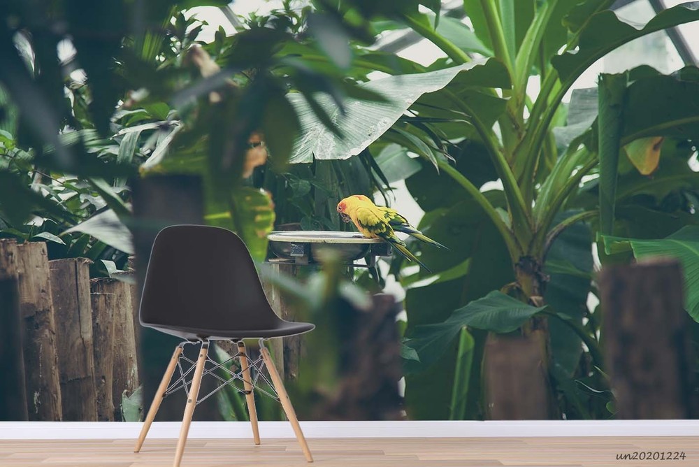 3D Tropical Plants Parrot Wall Murals Wallpaper Murals Wall Sticker